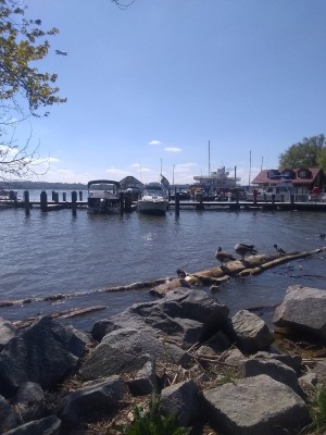 2021-04-17_10-52-47_-_hiking.jpg