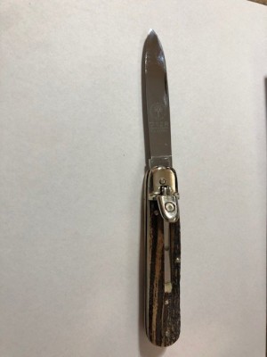 image1 (7).jpeg