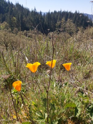 20210416_111937_copy_979x1305.jpg