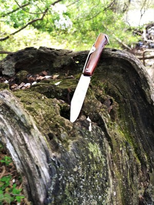 Okapi Trail shot.jpg