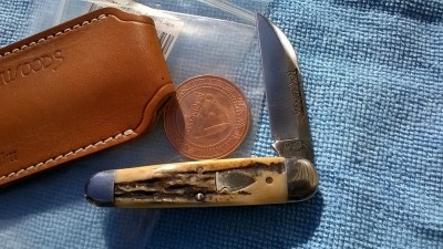 WP_20181111_003.jpg
