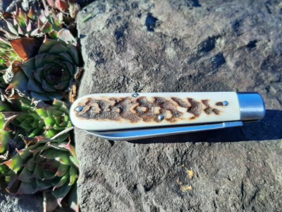 thumbnail_20201202_135222.jpg