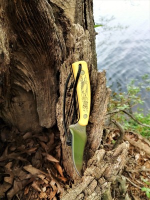 Nautical Sharpfinger by the water.jpg