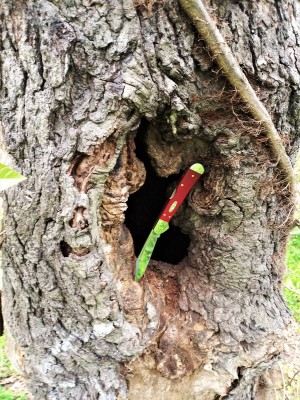 Squirrel hole.jpg