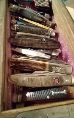Looked in the box for some that were hiding.