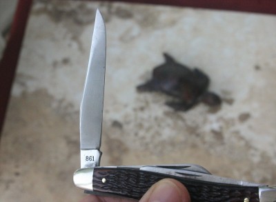 SW861CraftsmanTang.jpg