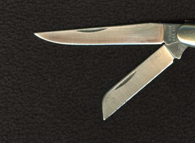 893004.jpg