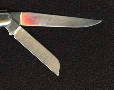 893005.jpg