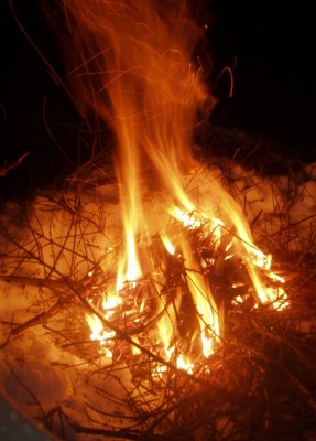 firefebnight10.jpg