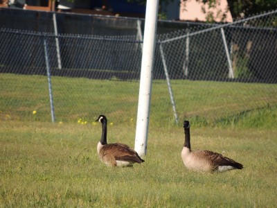 DSCN6950.JPG