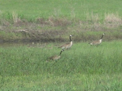 IMG_7312.JPG