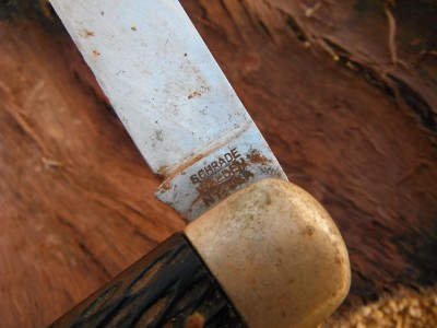 DSCF9633.JPG