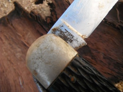 DSCF9635.JPG