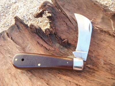 DSCF9642.JPG