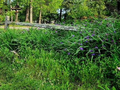20210509_071707.jpg
