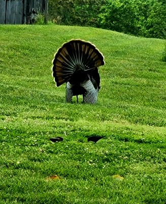 20210509_093101.jpg