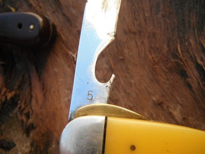 DSCF9728.JPG