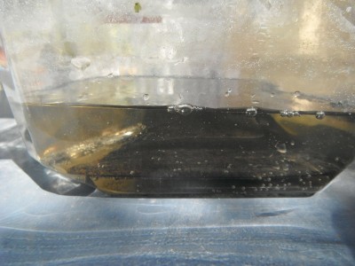 DSCF9794.JPG