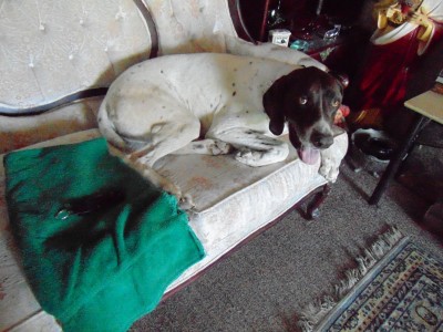 DSC00011.JPG