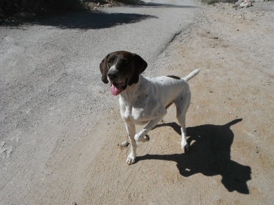 DSCF1043.JPG