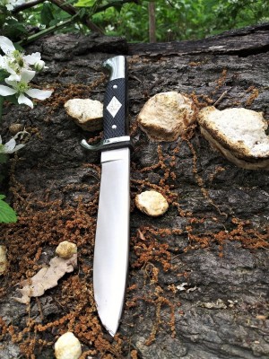 Linder Pathfinder on the trail.jpg