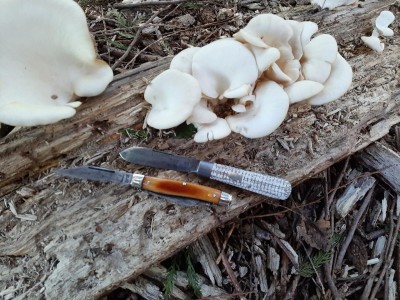 thumbnail_20210512_170755.jpg