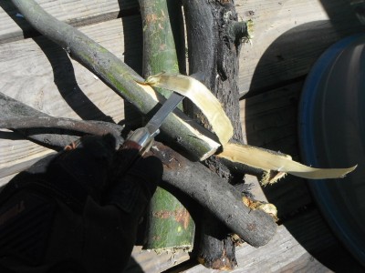 DSCF1318.JPG