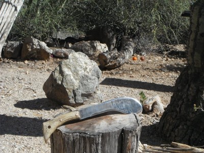 DSCF9748.JPG