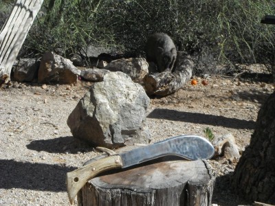 DSCF9749.JPG