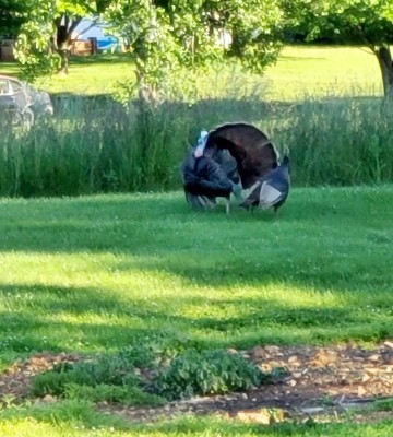 20210513_175005.jpg