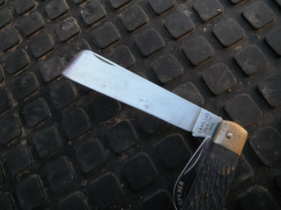 DSCF1514.JPG