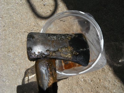 DSCF1584.JPG