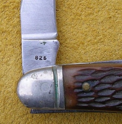 IMGP1194.JPG