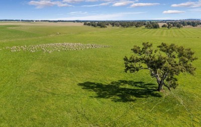 Buln Gherin.jpg