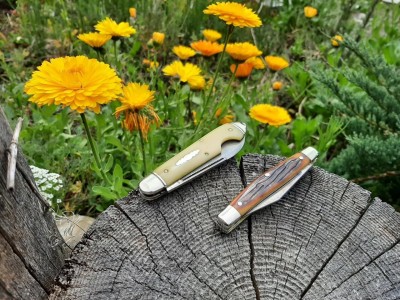 thumbnail_20210526_111220.jpg
