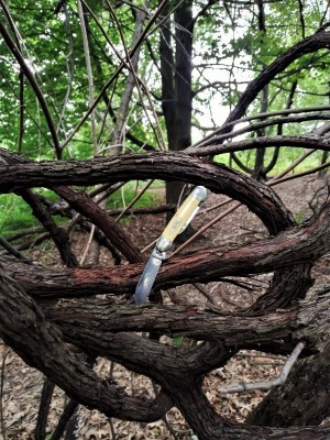 Canoe in a knot.jpg