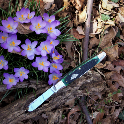 Case Cigar Whittler on the trail (2).png