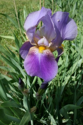 IMG_1920.jpg