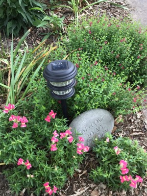 Snapdragons and Pink Skullcap