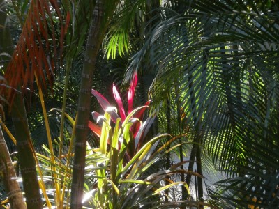 P5300001.JPG
