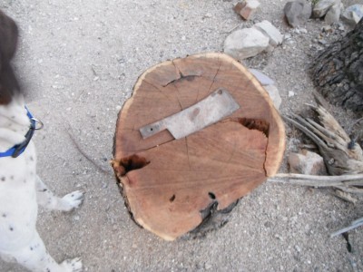 DSCF1938.JPG