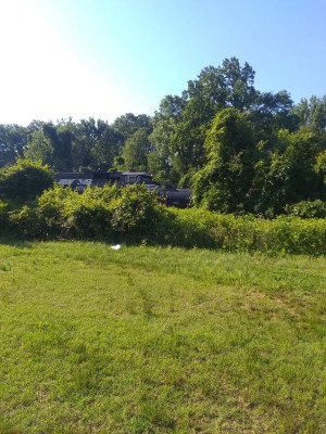 IMG_20210606_083827655.jpg