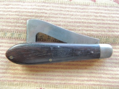 DSCN6988.JPG