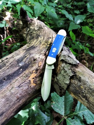 Blue G-10 Case Canoe first walk.jpg