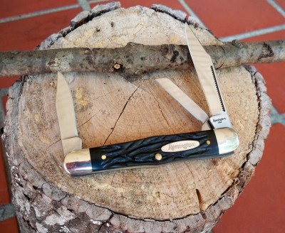 Remington RE18293_a.JPG