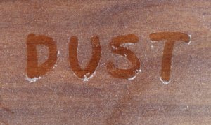 dust1.jpeg