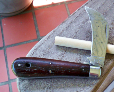 Dunlap Hawkbill_b.png