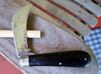 Dunlap Hawkbill_e.png