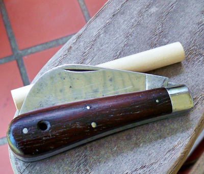 Dunlap Hawkbill_a.png
