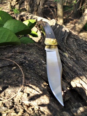 Buck 101 trail shot.jpg